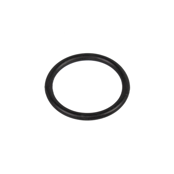 Zanussi 4055074399 Dishwasher O-Ring Gasket